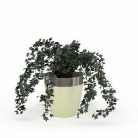 Plantes de lierre en pot de jardin d'intérieur modèle 3D