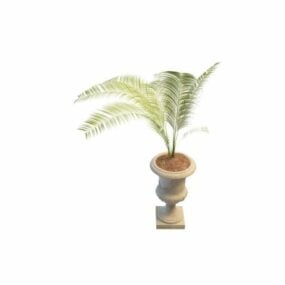3D model vnitřní palmy v květináči
