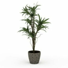 Modelo 3d de plantas de árvores ornamentais em vasos