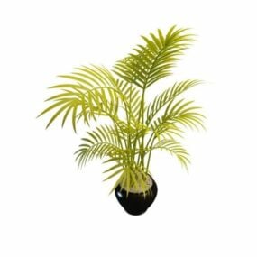 Potted Bamboo Palm Tree 3d model