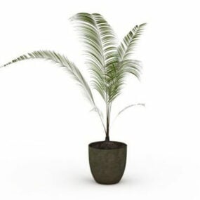 Modelo 3d de palmeira interna em vaso
