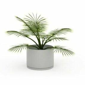 Modello 3d di piccole piante da interno in palma in vaso