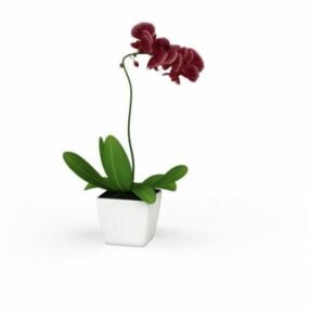 Modelo 3d de planta de flor em vaso para escritório em casa