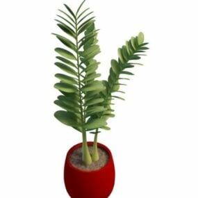 Round Leaves Potted Plant 3d model