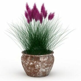 Potted Flower Plants Reed 3d model