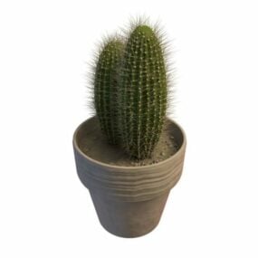 Cactus en pot modèle 3D