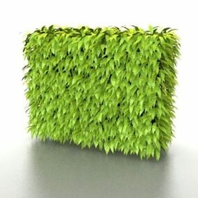 3D-Modell einer Gartenheckenwandpflanze