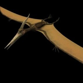Dierlijke Pteranodon-dinosaurus 3D-model