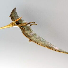 Pteranodon-Dinosaurier-Rig 3D-Modell