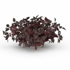 Modello 3d della pianta di amaranto viola all'aperto