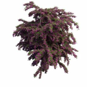 Fioletowe kwitnące krzewy ogrodowe Model 3D
