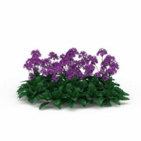 Fialový květ rostliny 3D model