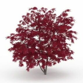 Purple Maple Tree Plant 3d model