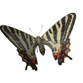 동물 Puziloi Luehdorfia 나비 3d 모델