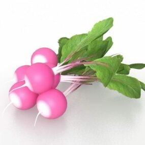 Flower Radish Vegetable 3d model