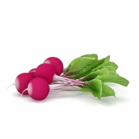 Nature Radishes With Leaves 3d model
