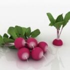 Vegetable Radishes With Plants