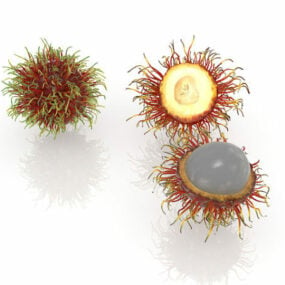 Fruit de ramboutan naturel modèle 3D