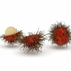 Model 3D owoców rambutanu