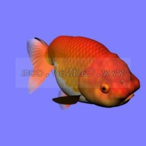 نموذج حيوان Rantyu Goldfish ثلاثي الأبعاد