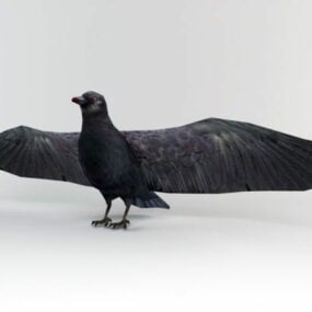 Modello 3d dell'uccello corvo selvaggio