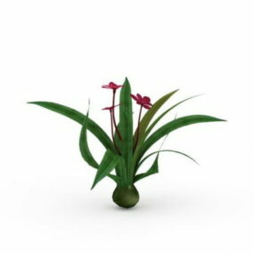 Trädgårdsblomma Cymbidium Orchids 3d-modell
