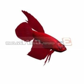 Modello 3d animale del pesce rosso Dragoneye rosso
