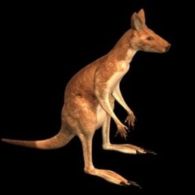 3д модель животного Красный кенгуру