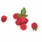 Frutta di gelso rosso natura