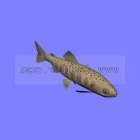 Model 3d Ikan Trout Masu Berbintik Merah Haiwan Laut