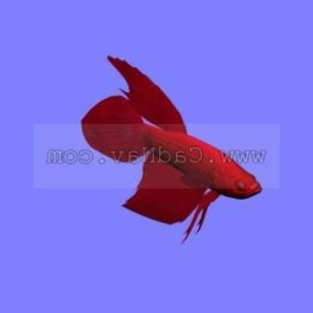 نموذج ثلاثي الأبعاد لسمكة ريدبيتا الحيوانية