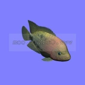 Redhead Fish Animal 3d model
