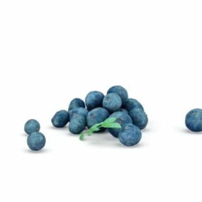 Voedsel rijp bosbessenfruit 3D-model