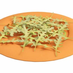 Folhas de salada de rúcula da natureza Modelo 3D