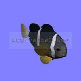 Zvířecí ryby Akvarijní ryby kolekce 3D model