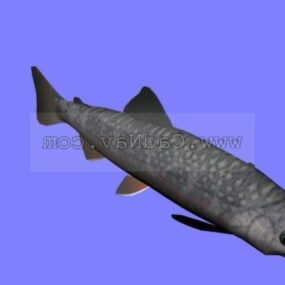 Animal Rooved Razor-fish 3d model