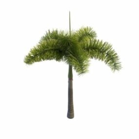 Royal Palm Garden Tree 3d model