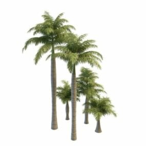 Royal Palm Garden Trees 3d-modell