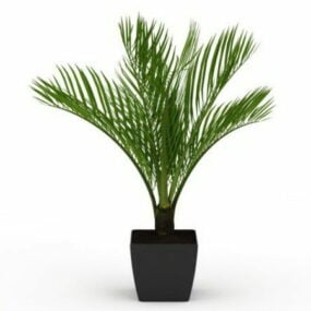 3д модель растения Саго Пальма в горшке