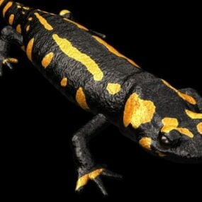 Salamandre animale modèle 3D