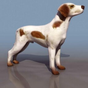 Modello 3d del cane da pastore scozzese animale