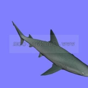 3д модель животного акулы