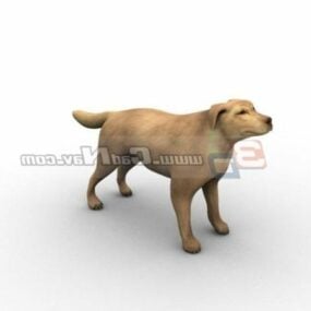 Modello 3d del cane da pastore animale