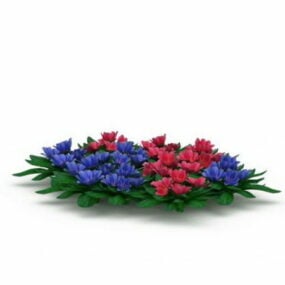 Outdoor Shortsepal Lewisia Flowers 3d model