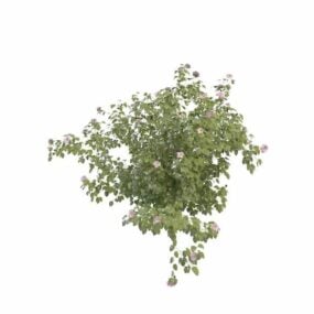 Arbusti da giardino per il modello 3d del paesaggio