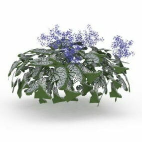 Garden Silver Leaved Plants 3d model