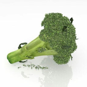 Brokkoli mit einem Stiel, 3D-Modell