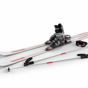 Bastón de esquí con botas y gafas modelo 3d