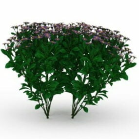 정원 작은 허브 보라색 꽃 3d 모델