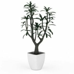 Indoor Garden Small Potted Plant 3d model